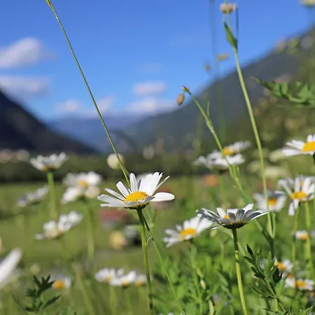 Small And Cozy Rieder Stubn On - Site Restaurant And Pinseria Hotel Ried im Oberinntal